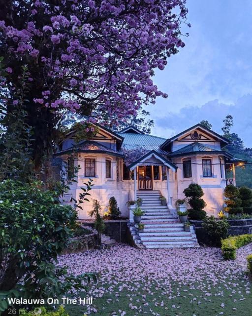 Walauwa On The Hill Hotel Hatton Exterior foto